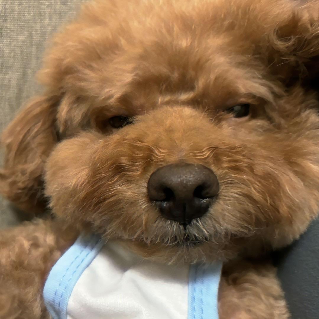 ㅤㅤㅤㅤㅤㅤㅤ⠀