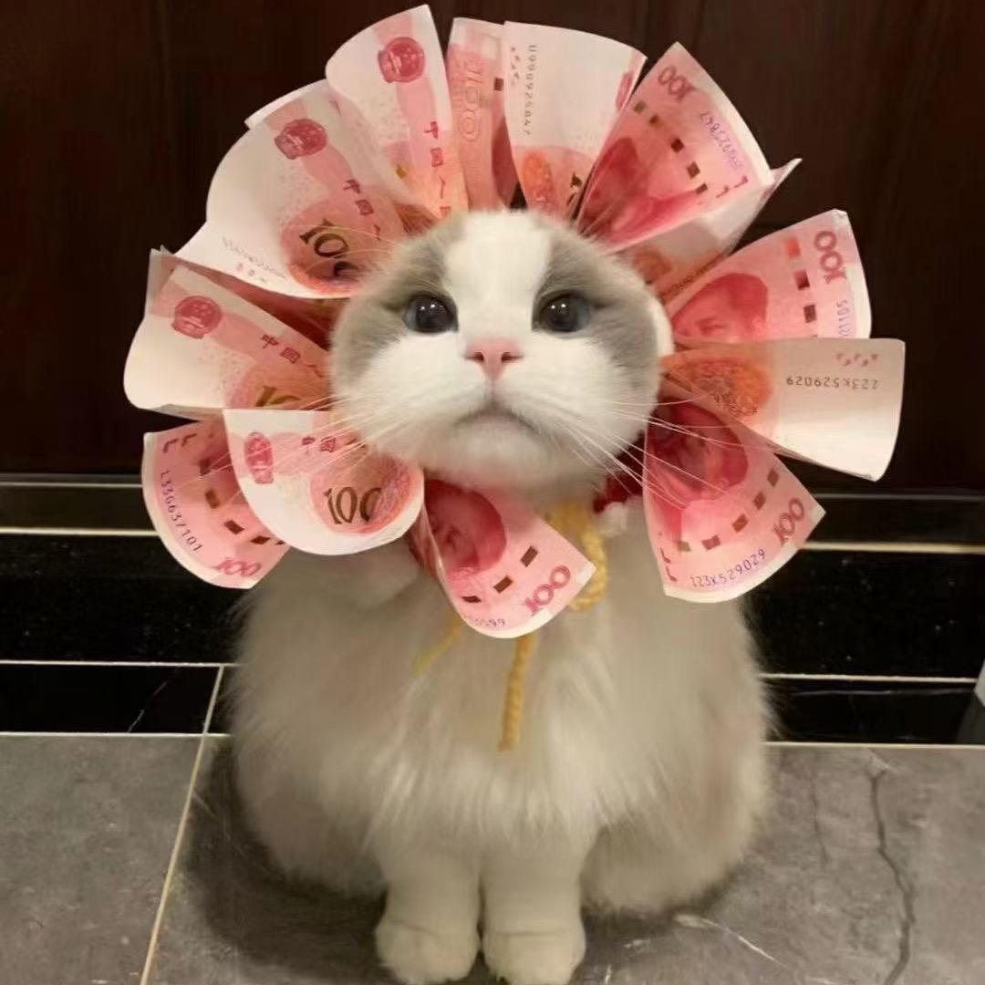 屿大宝