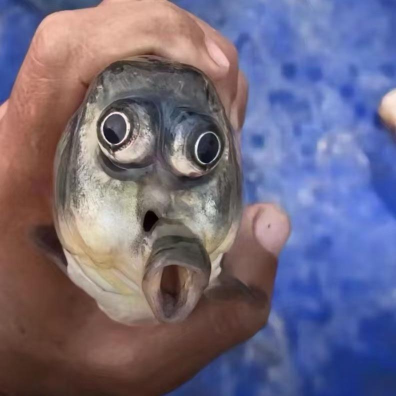 左撇子钓鱼明哥