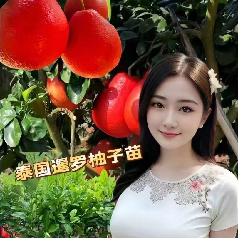 久优佳佳超畅果树苗木专卖店优质