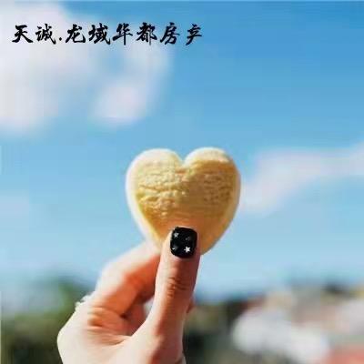 龙域华都房产杨洋