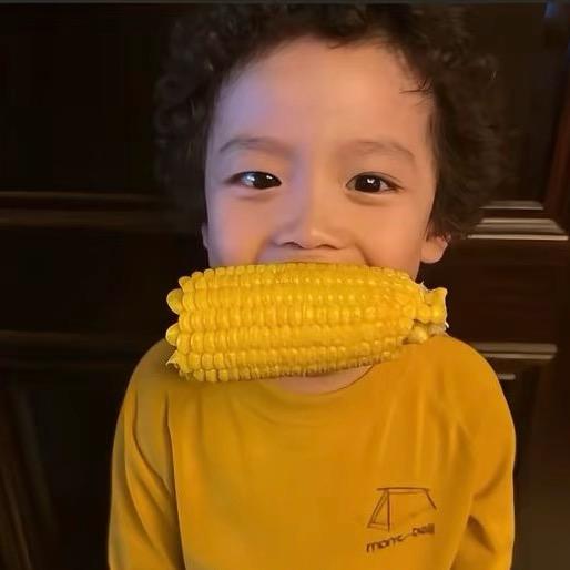 扶老奶奶过马路