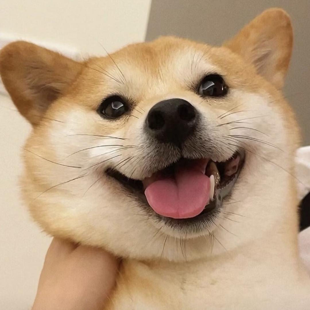 39208381287