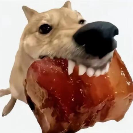 纪伯伦D