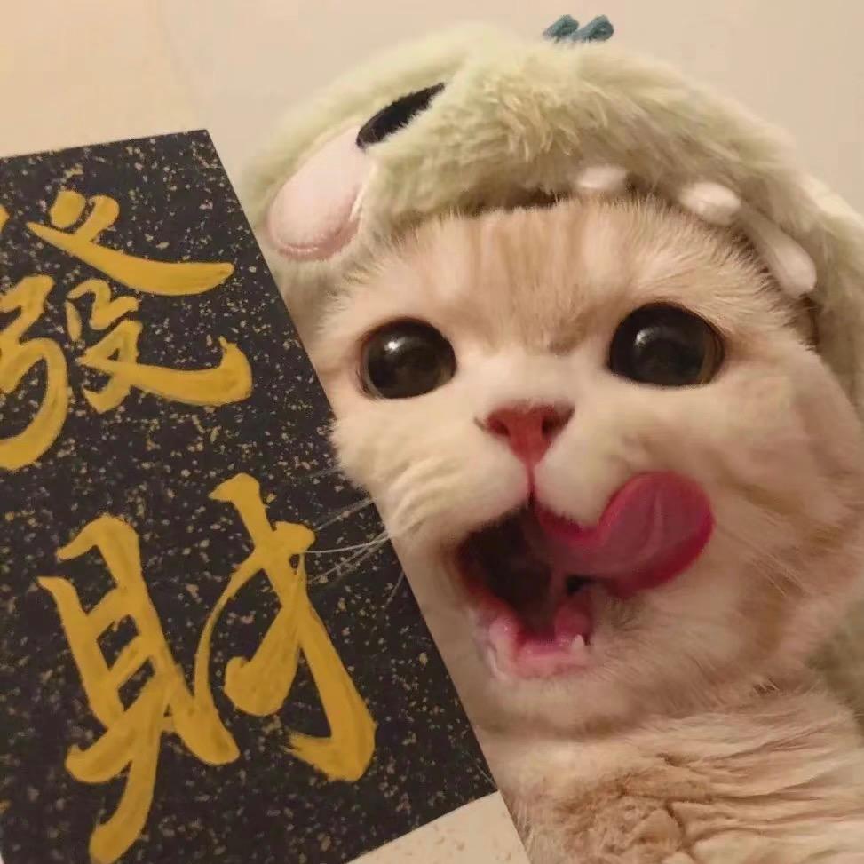 猫砂王子