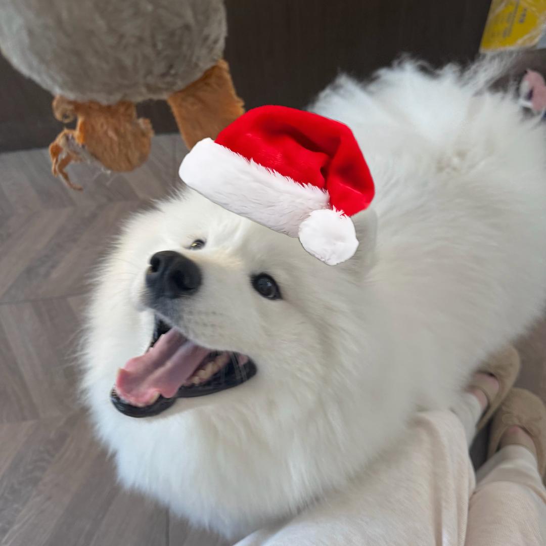 静待