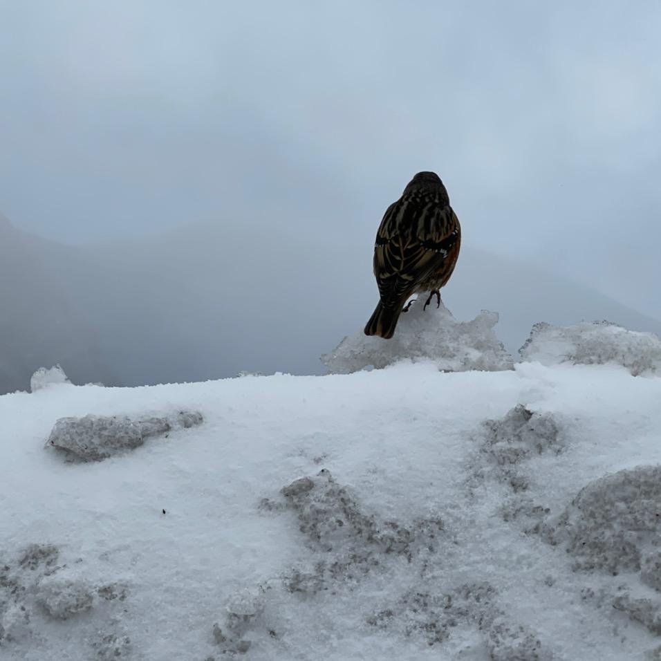 冯小宝通背拳@抖音