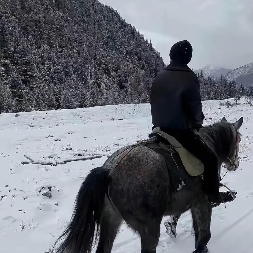 。。。。。。。。