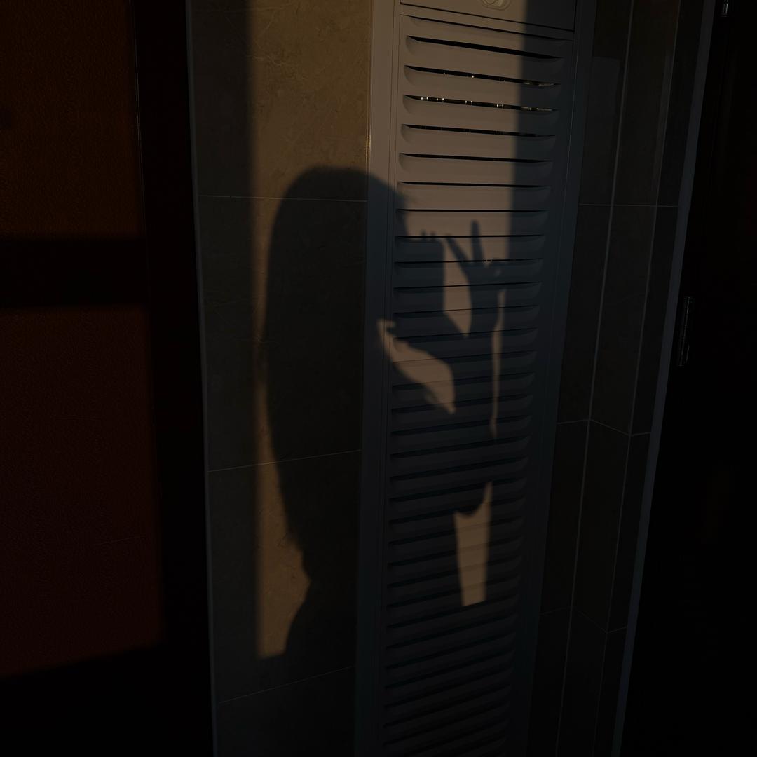 你喜欢吃橙子吗