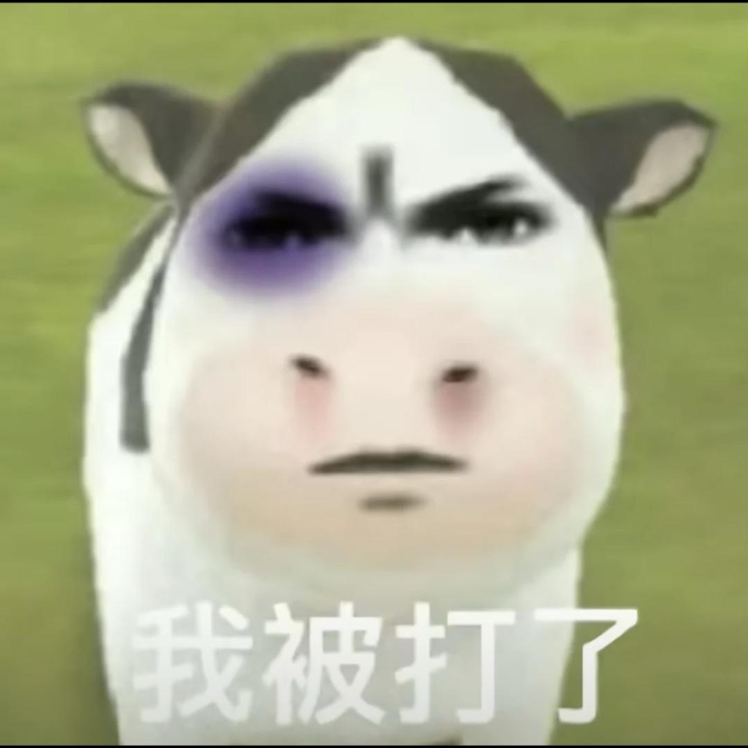 知心