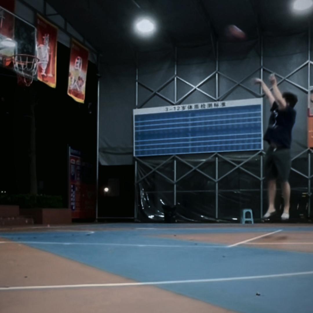 偶尔出汗的叔叔🏀