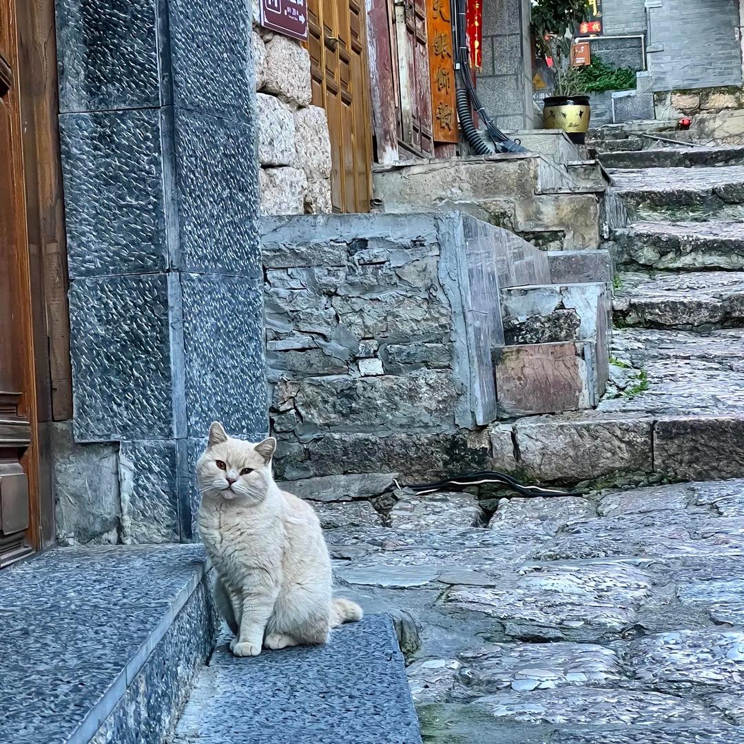 介意