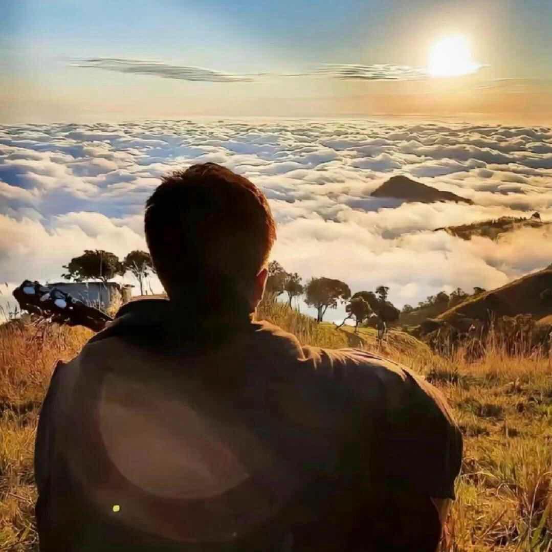 软件开发陆经理