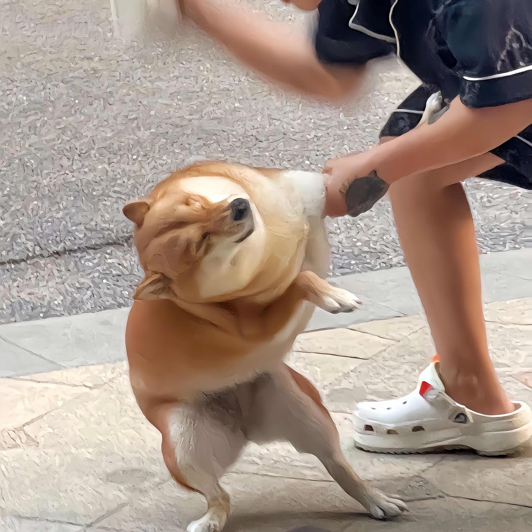 节够哈头像