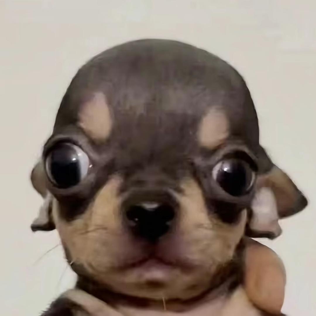 𝟭𝟭𝟮𝟯