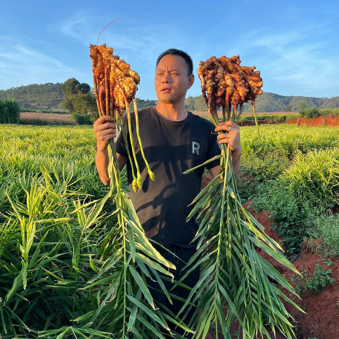 💕 ❧⁵²⁰刘在心李₅₂₀💞࿐