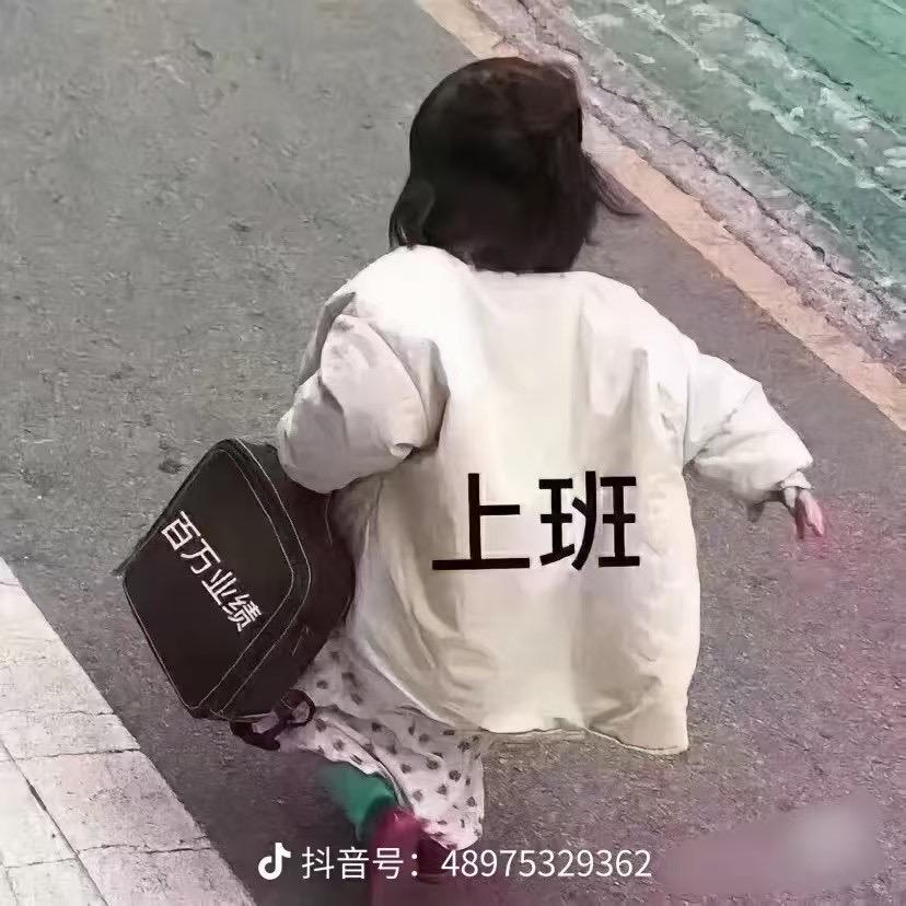 芸荷宁悦9号