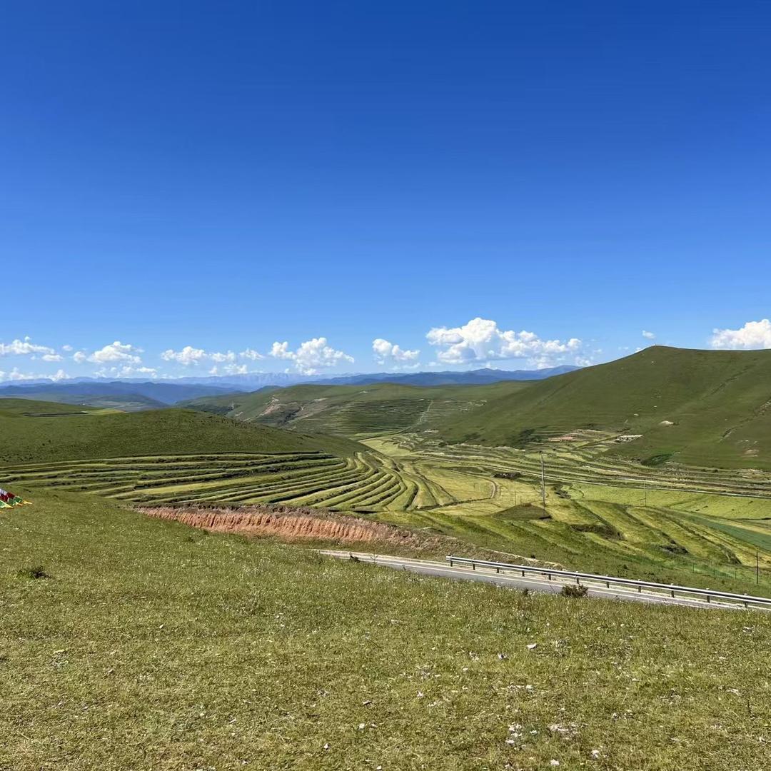 户县家乐面包车