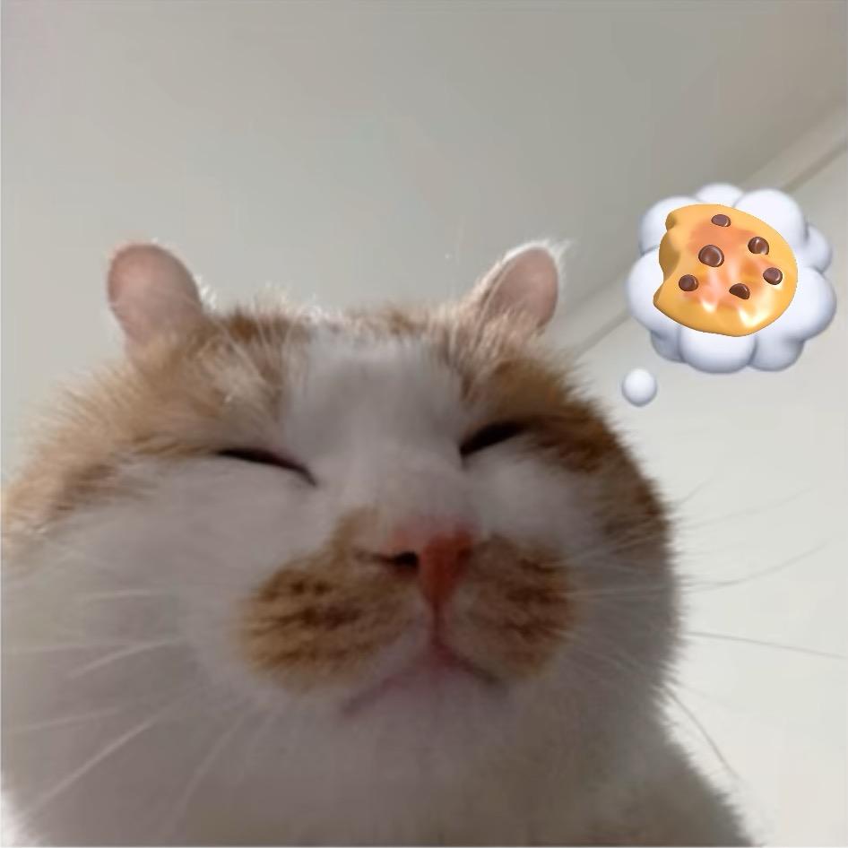 你怎么呆呆的