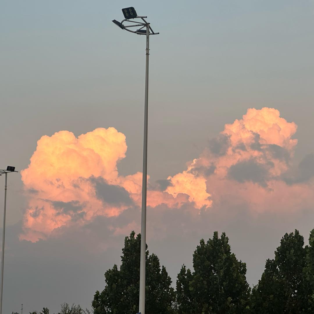 远远远远远远远远