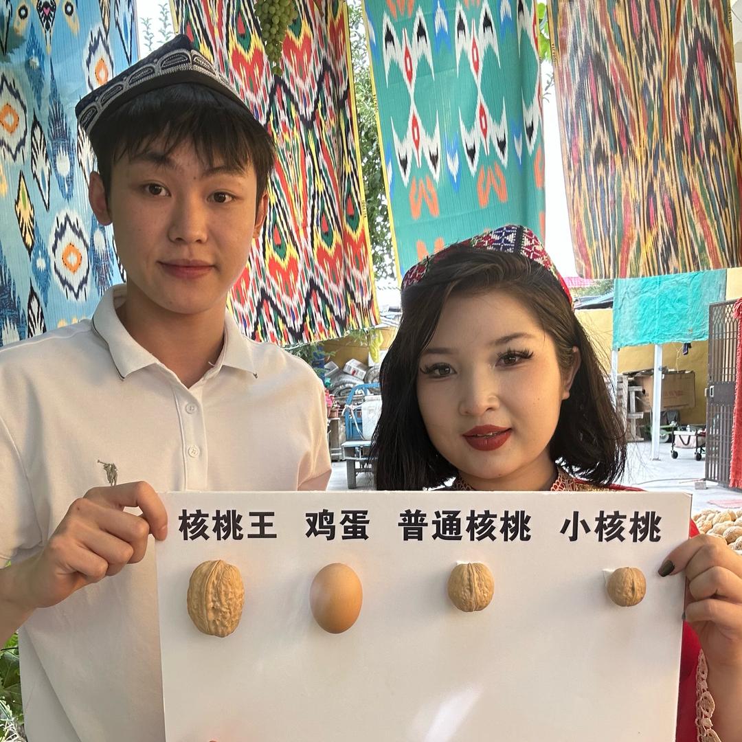 新疆小胡杨四号供应链