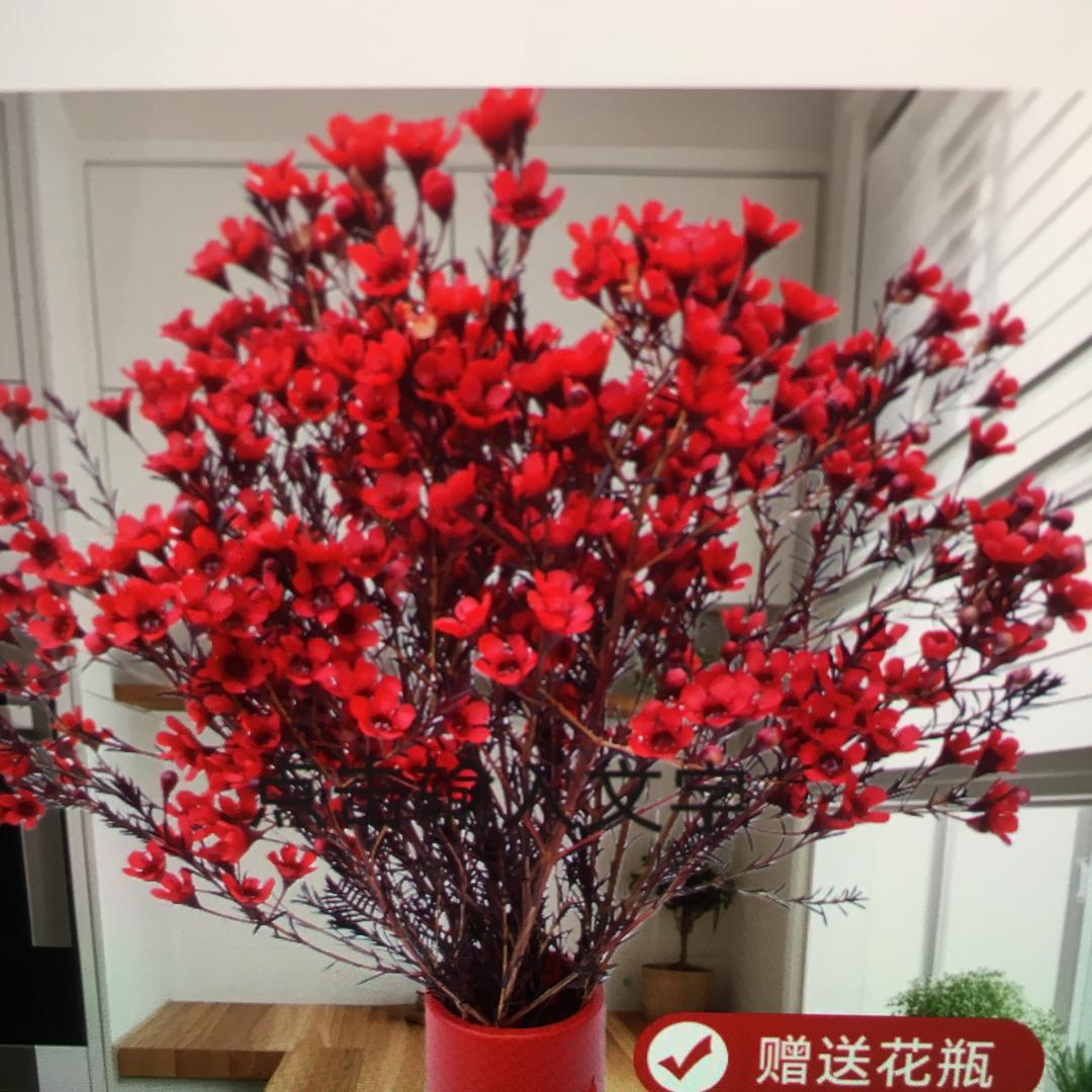 云南鲜花批发 云南鲜花