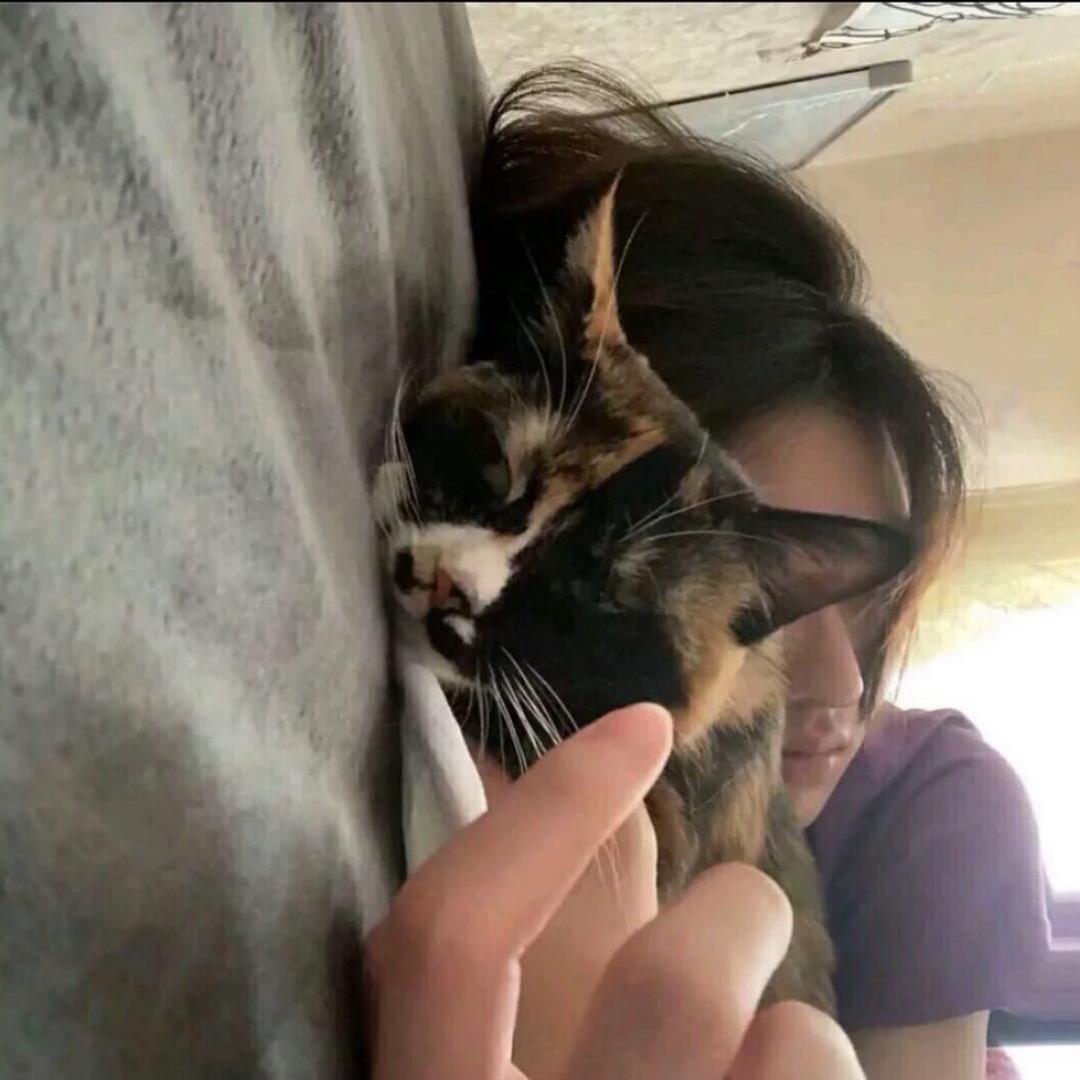Rakkk