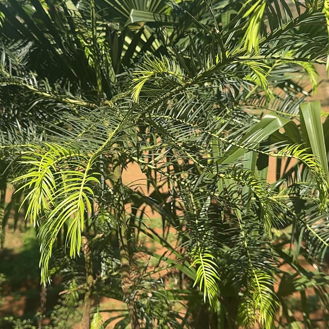 单身女人🧍‍♀️