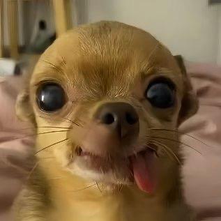😴
