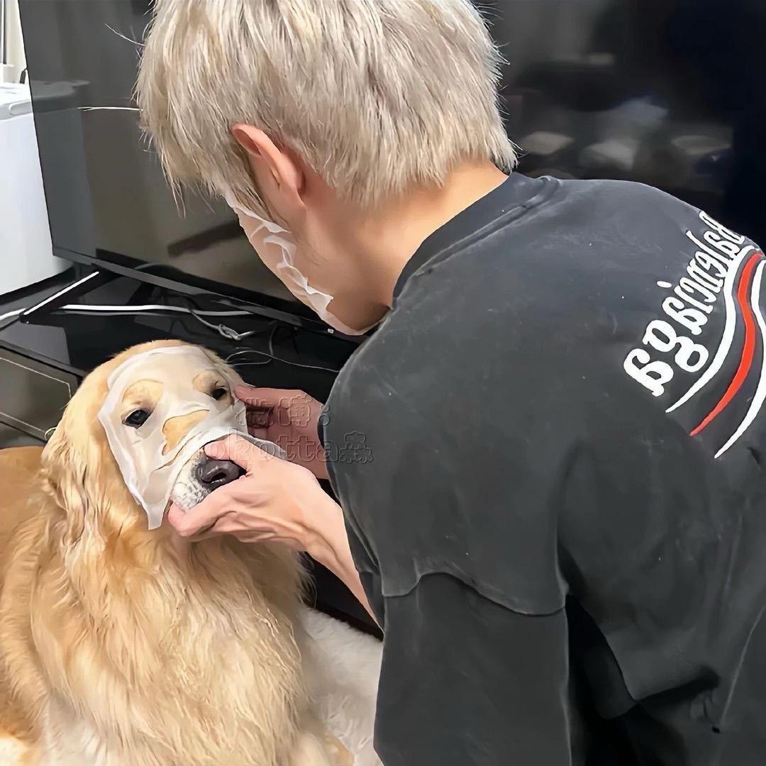 记得说晚安