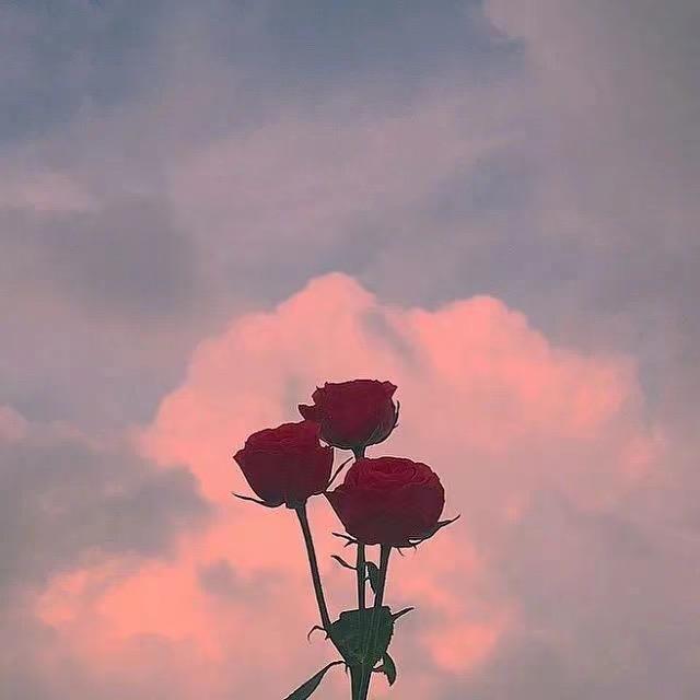 ོᰔᩚ ོ小娇妻ᰔᩚ