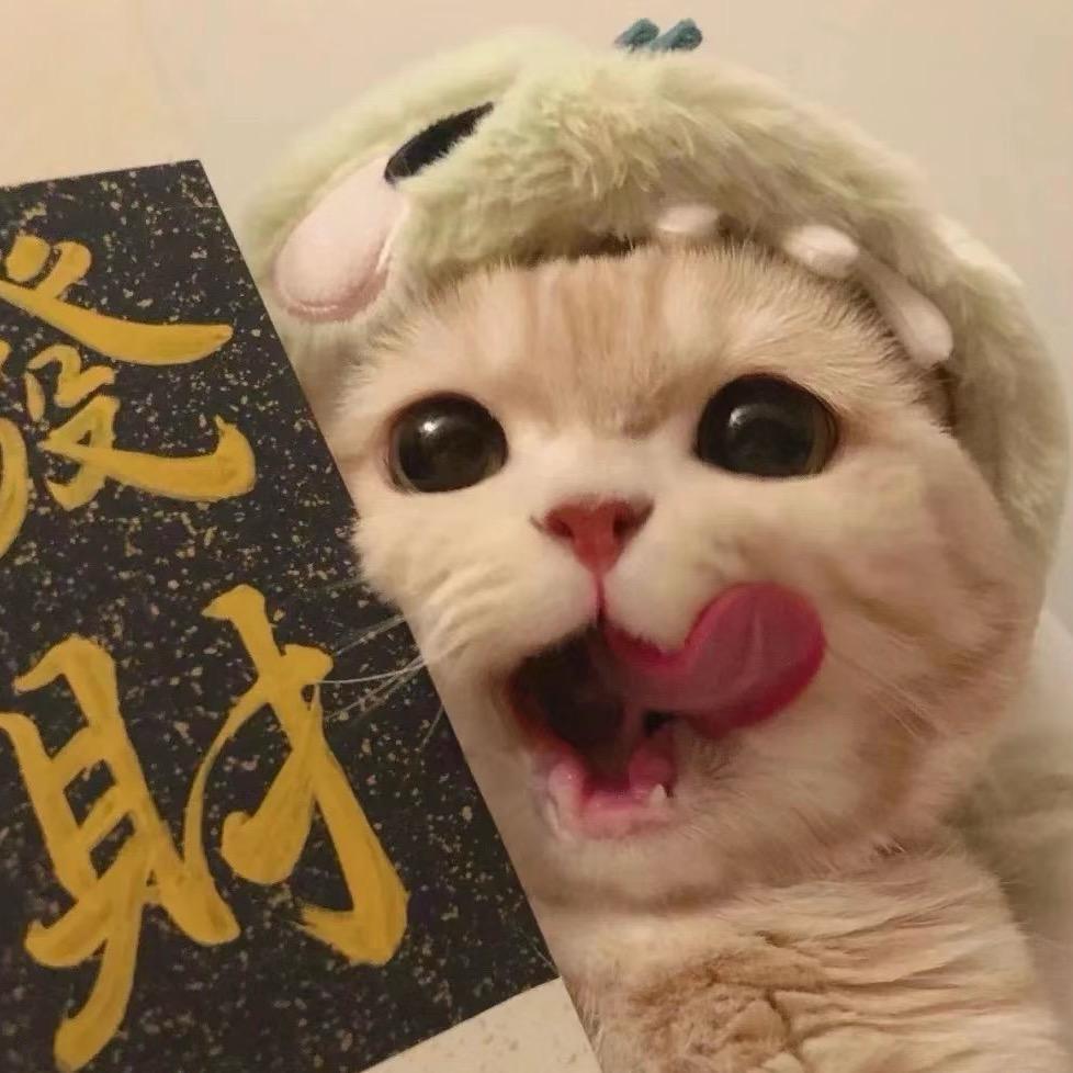 小闫🦋