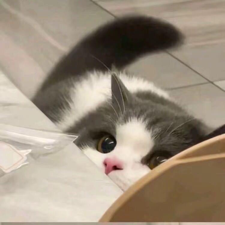 .z.