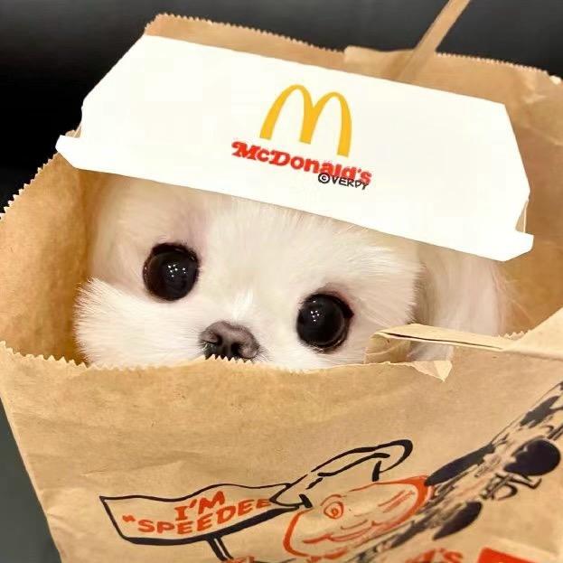 黄昏下的枯叶♥