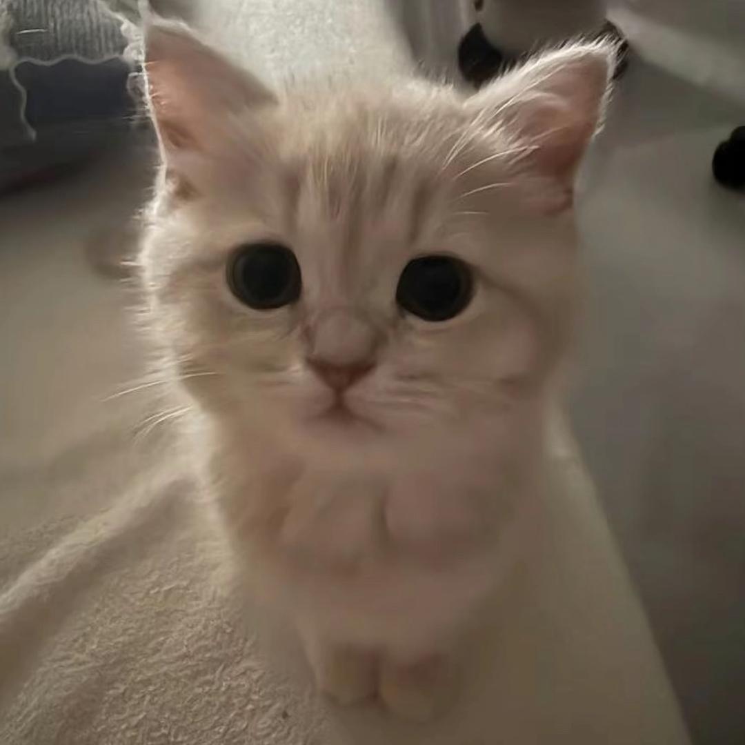 好想睡到自然醒-🥱