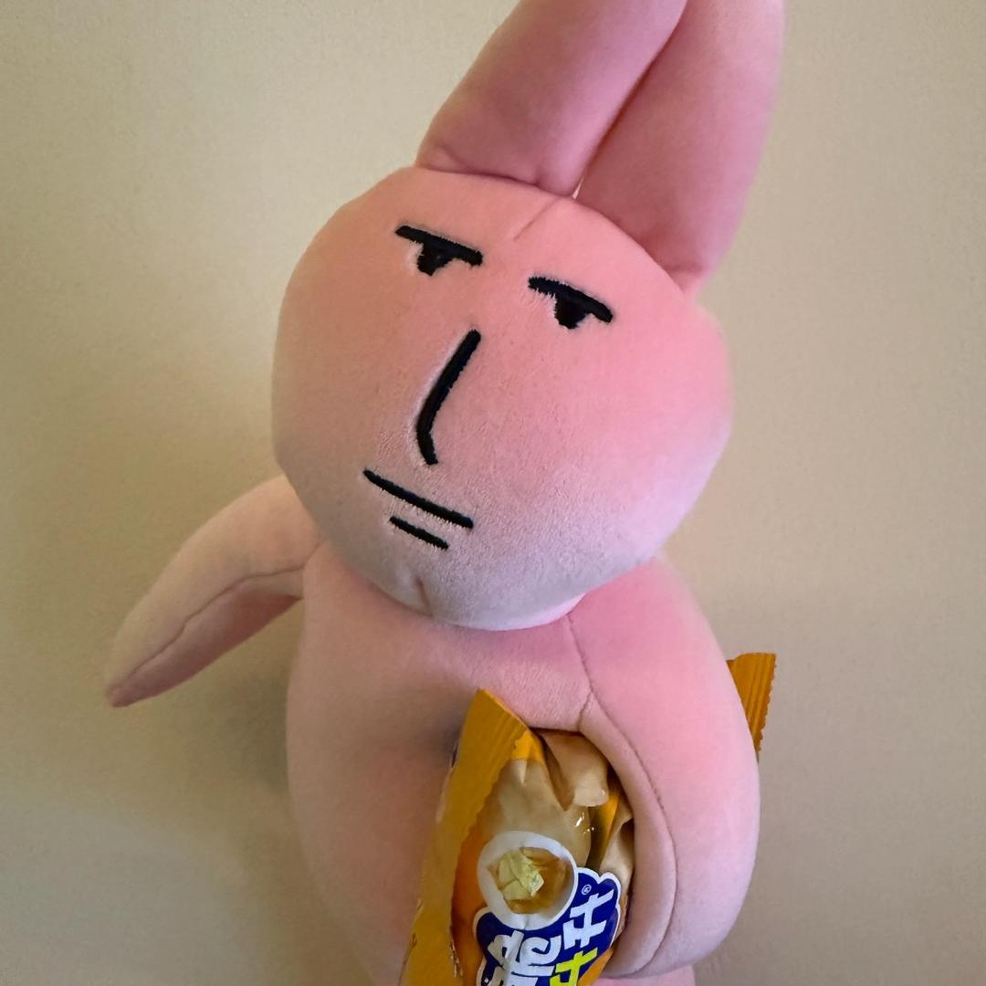 🍍菠萝吹雪🍍