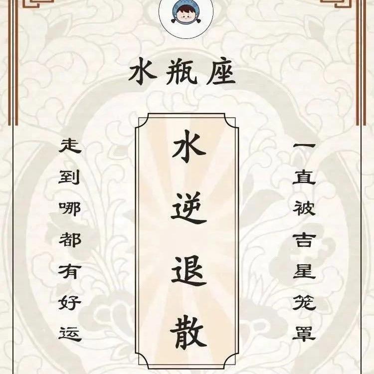 别划了我不是浆