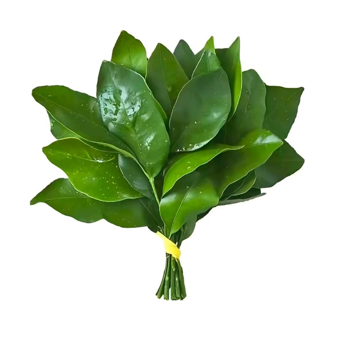 玺烊烊