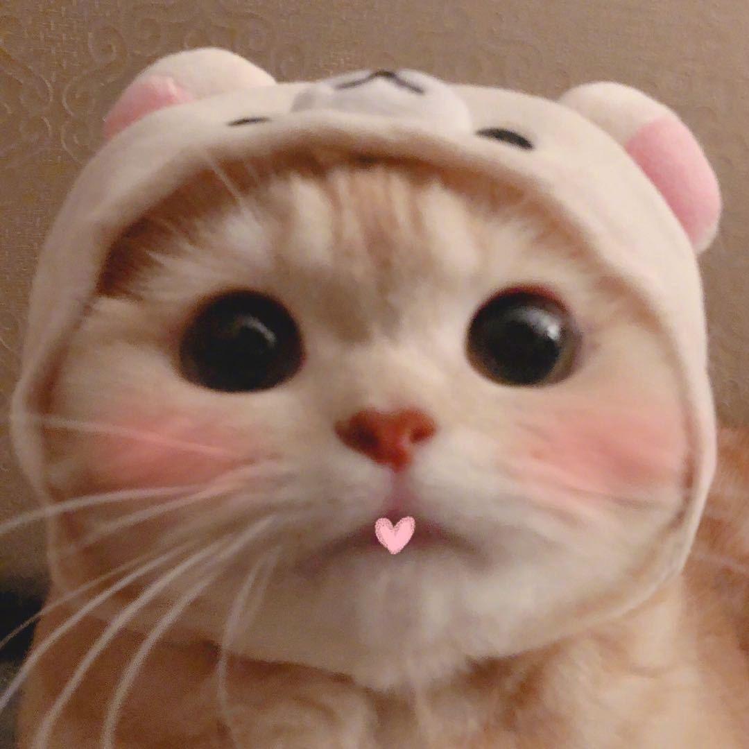 随便看看吧