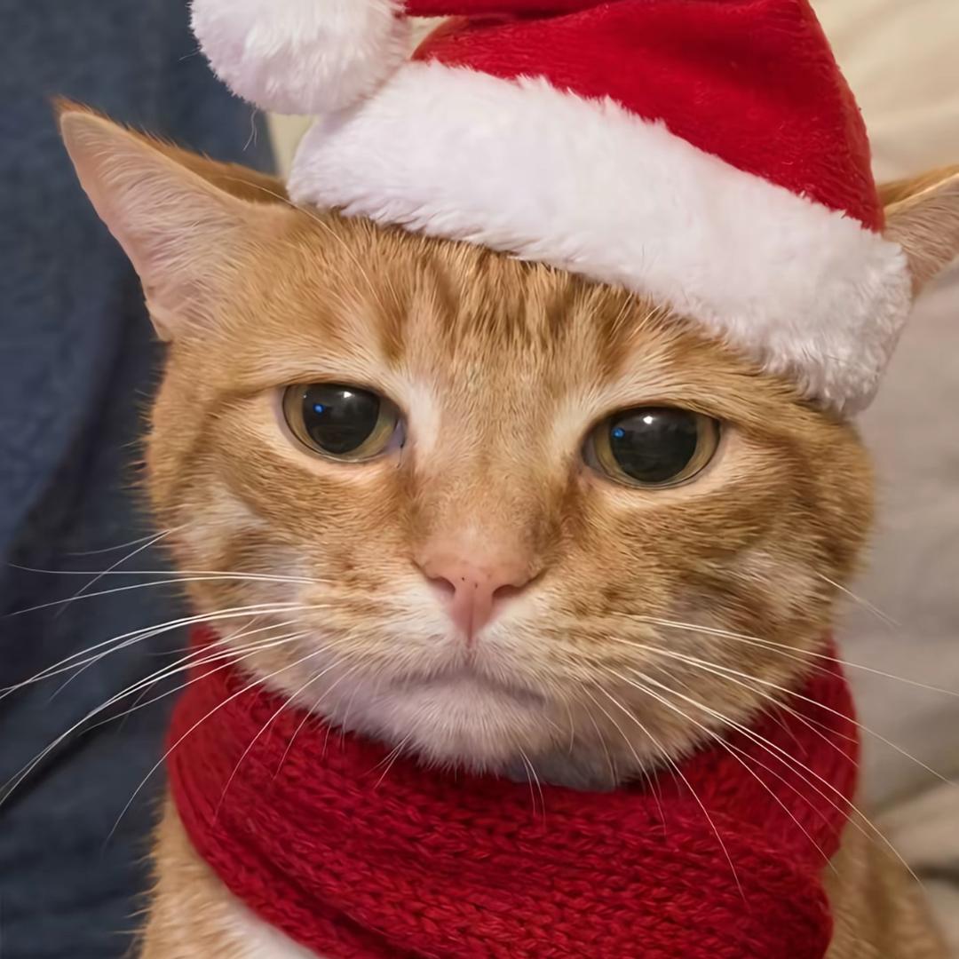 超级无敌炫酷霸王咪咪