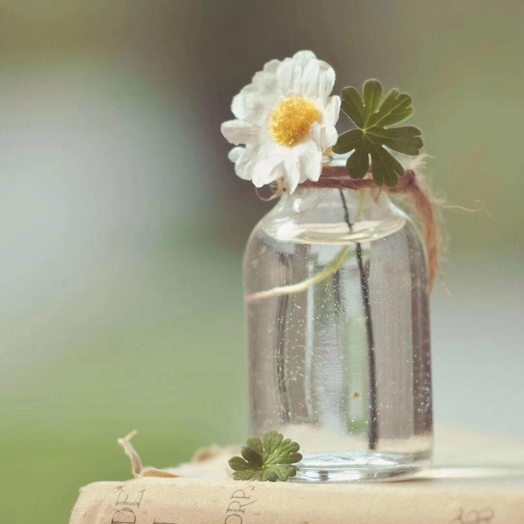 面面俱到特色炒码手工鸡蛋面