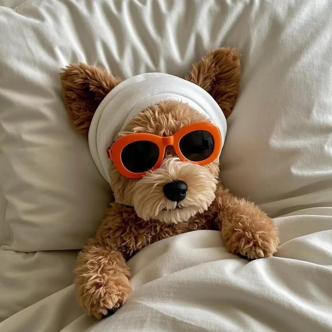 美女好困💤