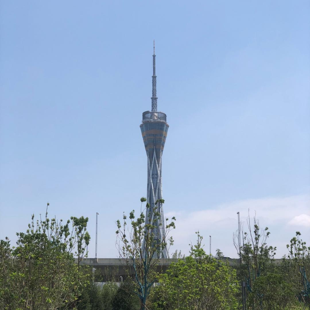 未来可期.