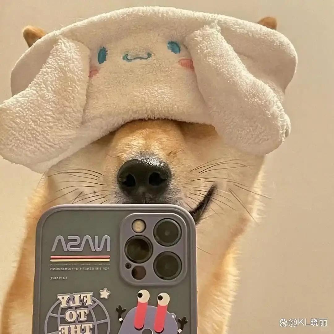 林深见鹿