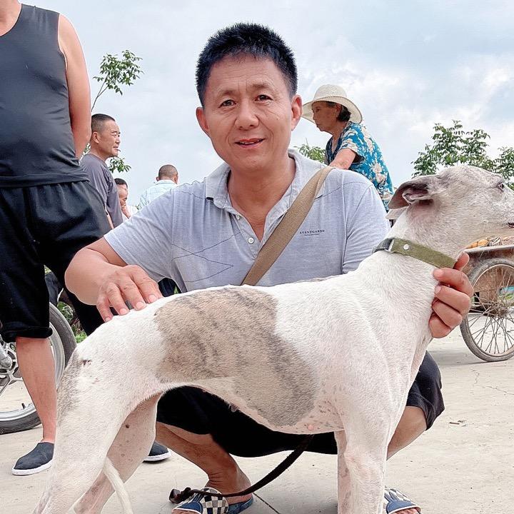 淘狗吕大师