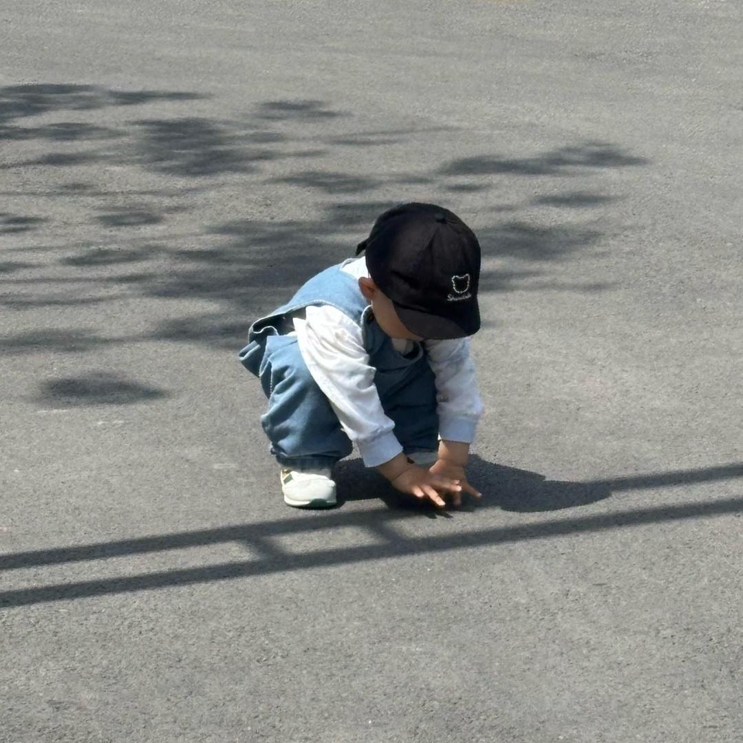 我想要两颗西柚