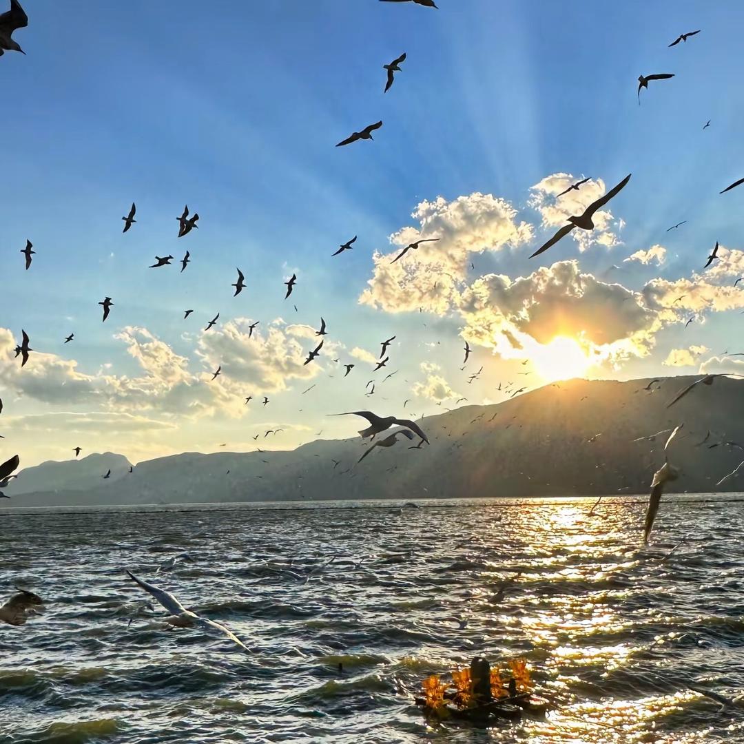 火衫10.10