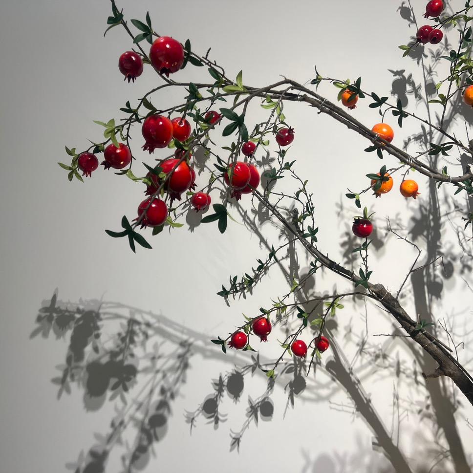 钱都到兜李女士