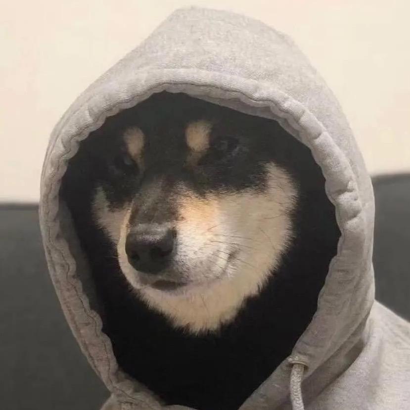 yA