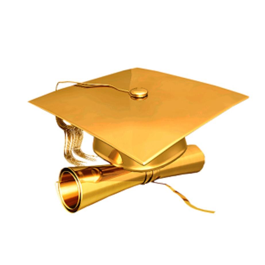 河南升学～张老师